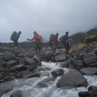 Hikers in the Dendrosenecio kilimanjari woodlands