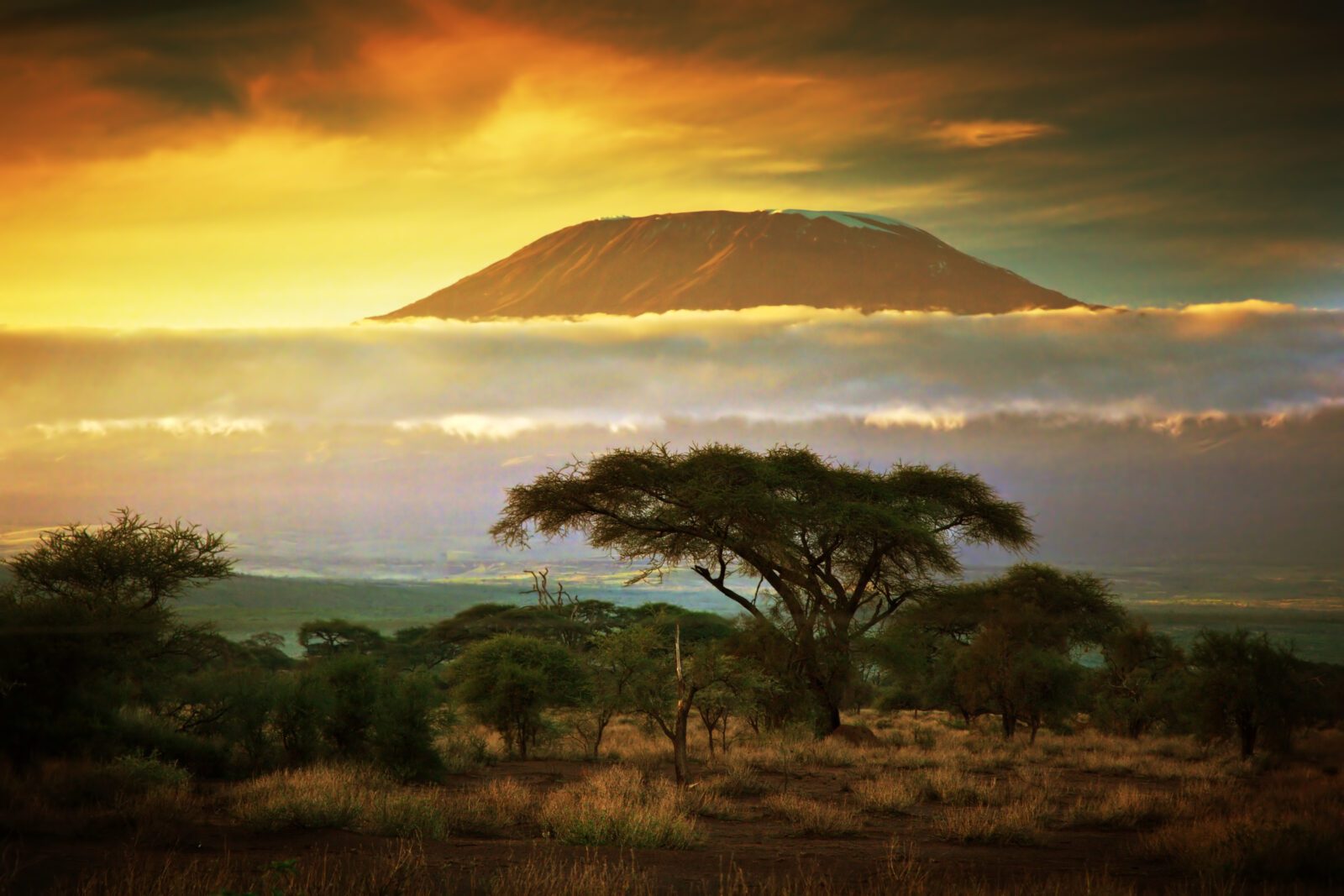Mount Kilimanjaro as seen from the Savanna in Amboseli, Kenya