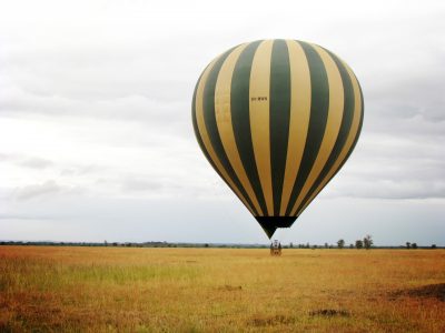 A hot air balloon in the African serengeti