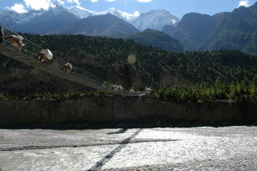 A think footbridge on the Annapurna Circuit