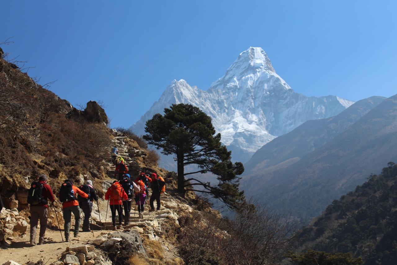 Hike the world's highest mountain