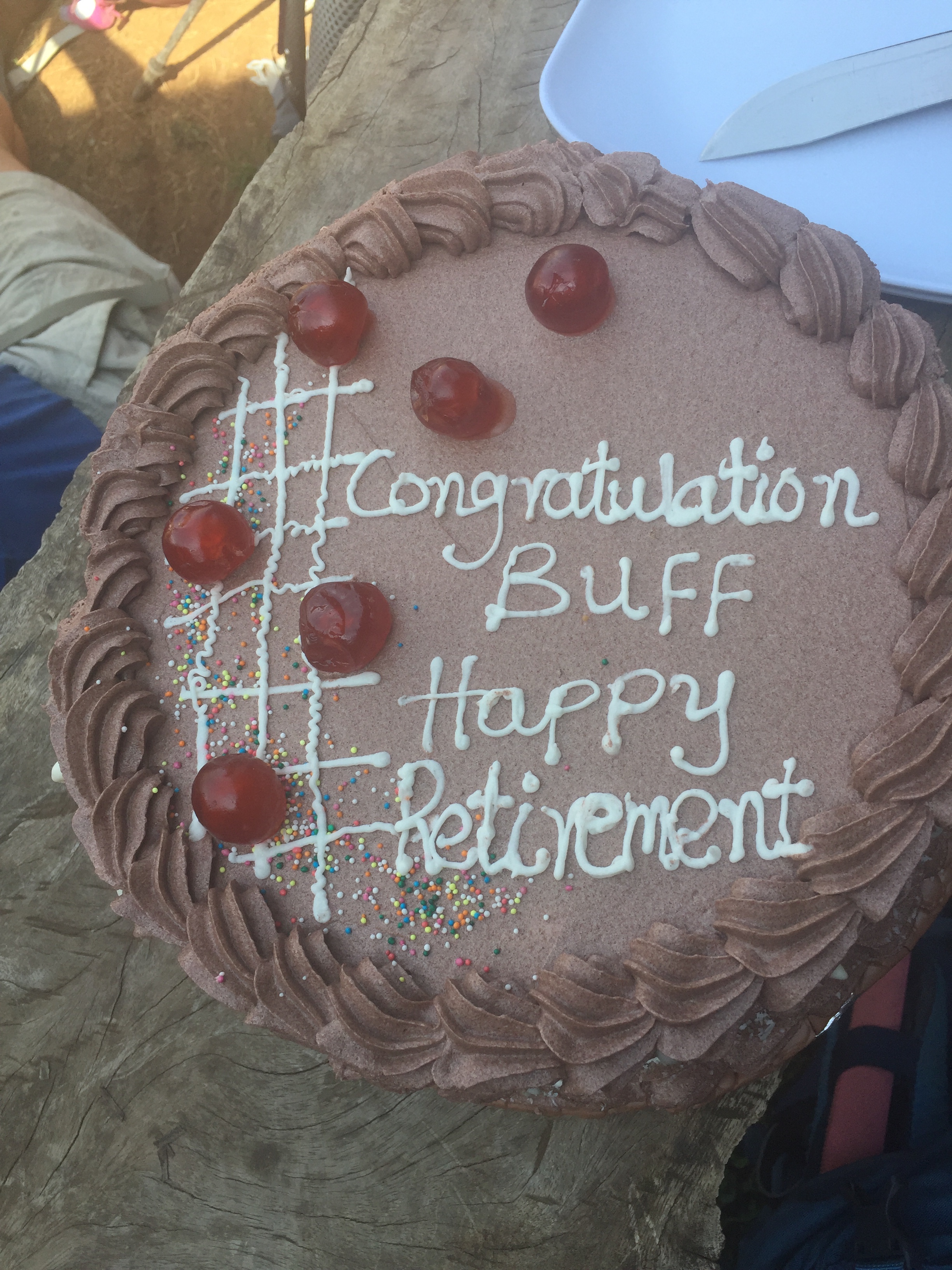 Laurel "Buff" Burkel celebrated her retirement from the Air Force on the summit of Kilimanjaro.