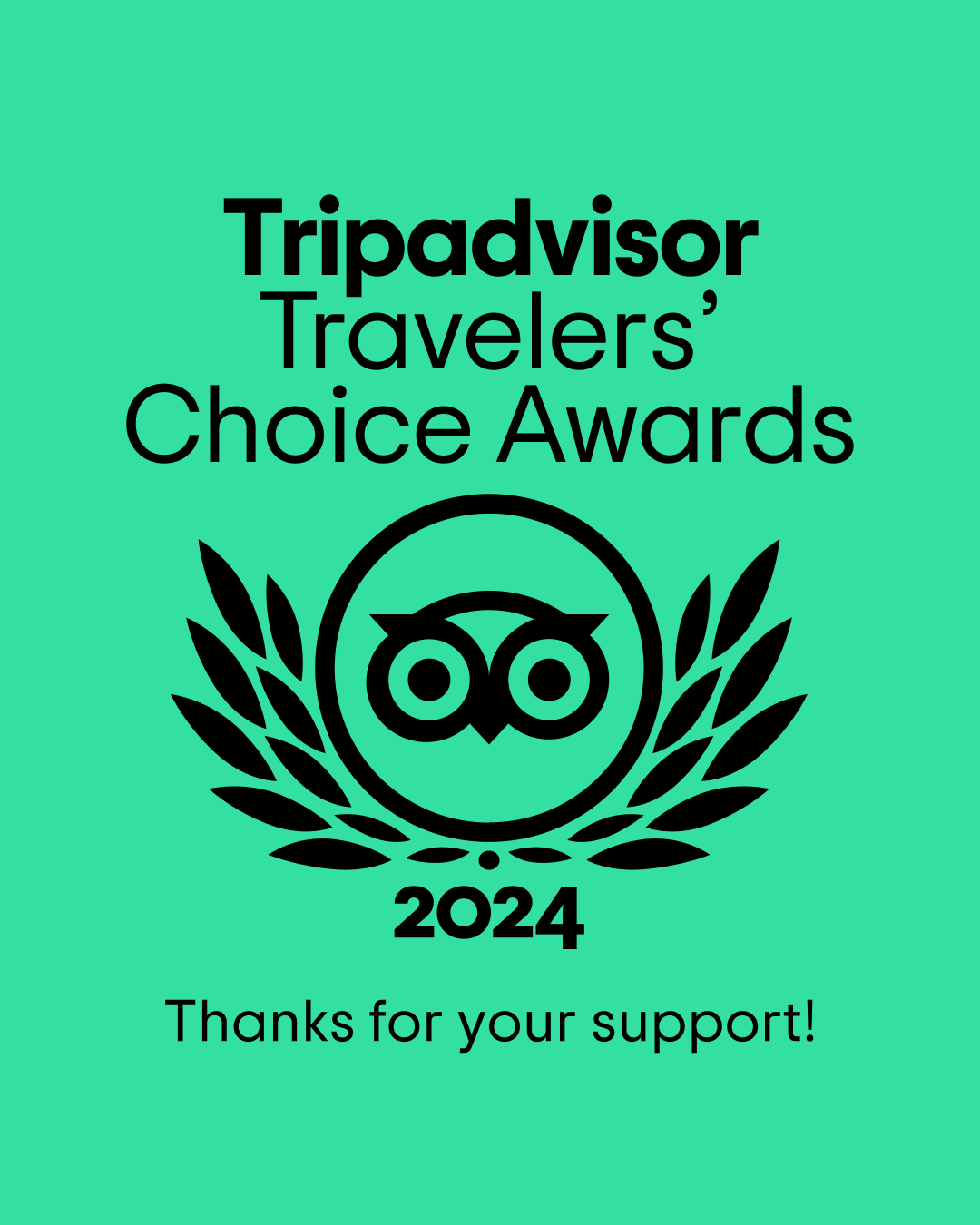 Trip Advisor Travelers Choice Awards